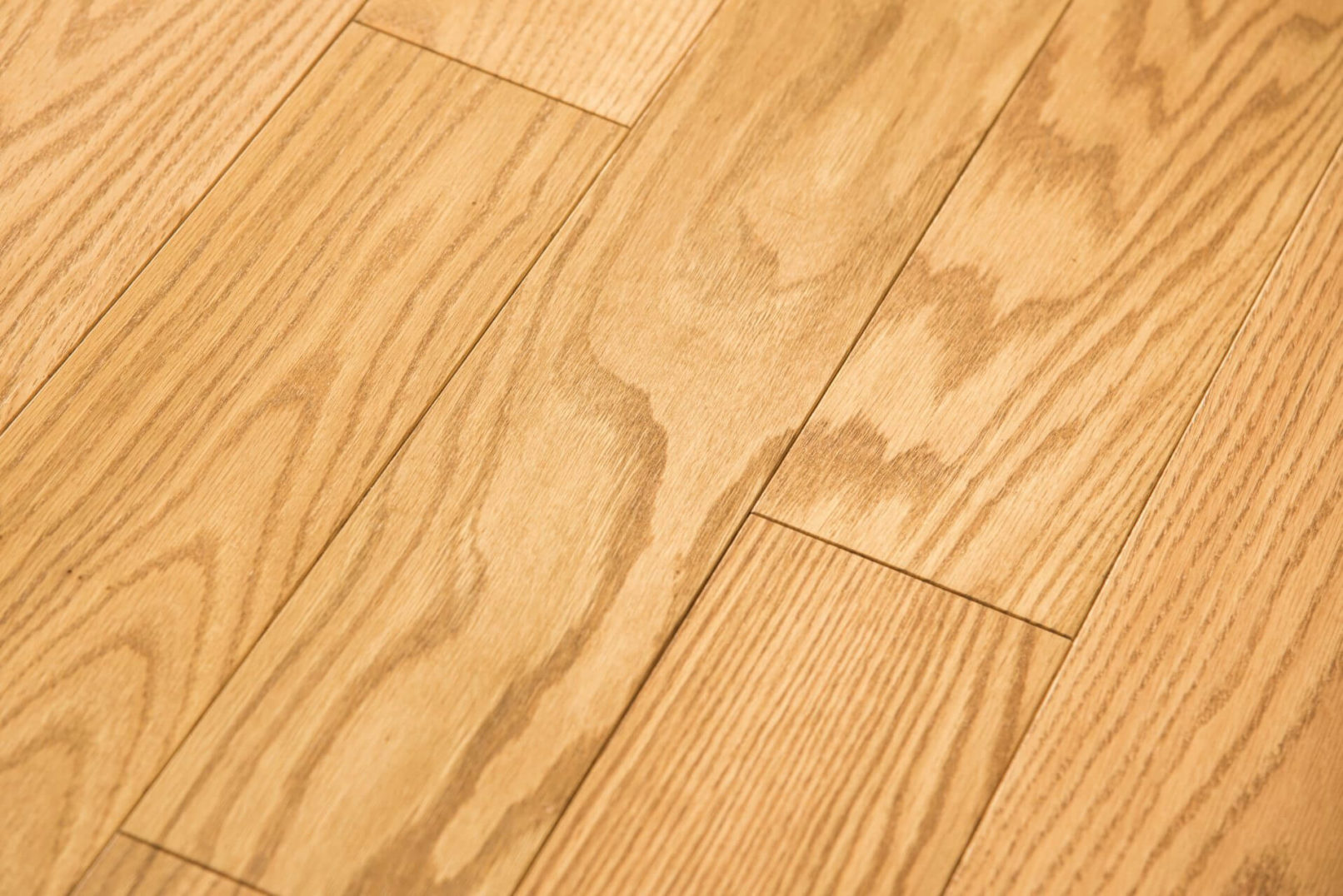 Suelo macizo de madera Roble Rojo