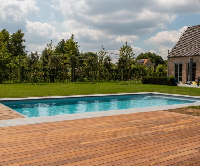 Proyecto Exterpark Ipe casa particular