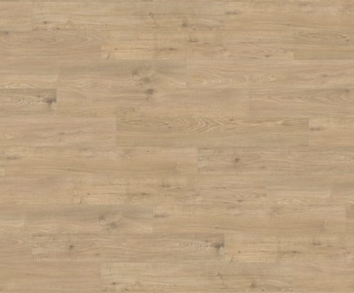 URBAN GRAND AC6 Bolonia