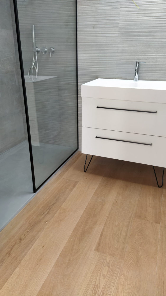 Proyecto 10AK Único Mistral